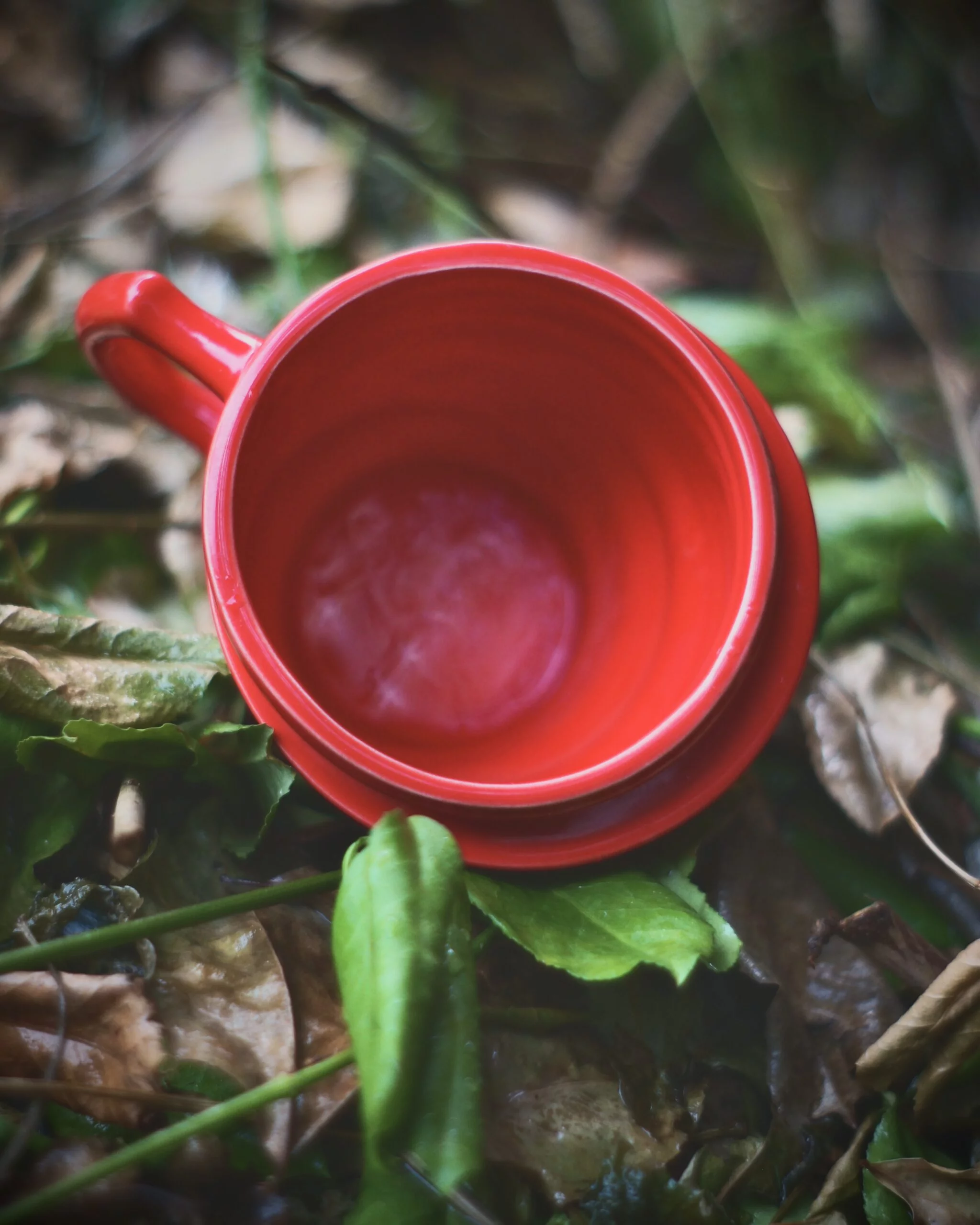 Stately Arkansas Mug - Image 9